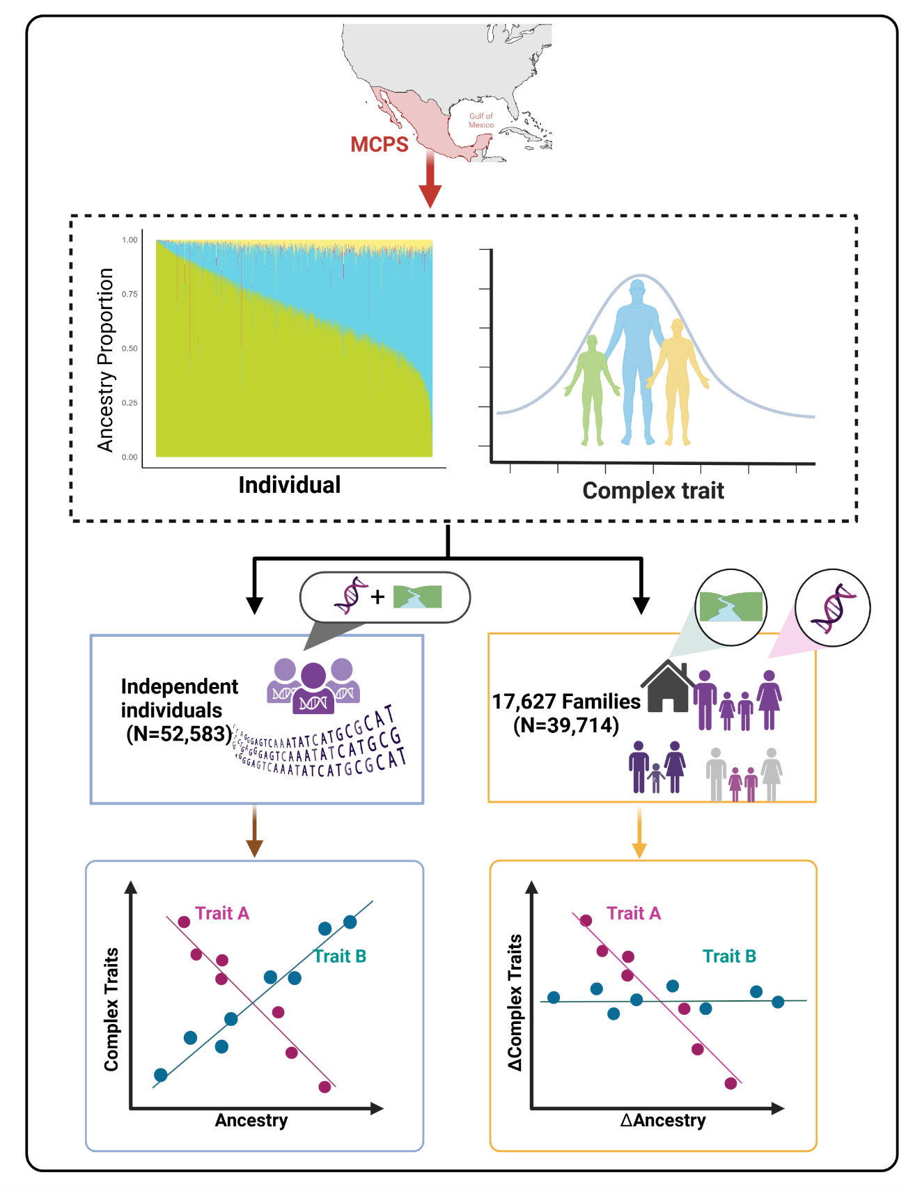 Graphical overview of the Mexico City ancestry study comparing unrelated people with families